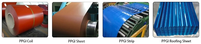 Prepainted or Color Coated Steel Coil PPGI or PPGL Color Coated Galvanized Steel